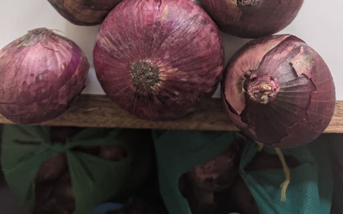 Red bulb onion