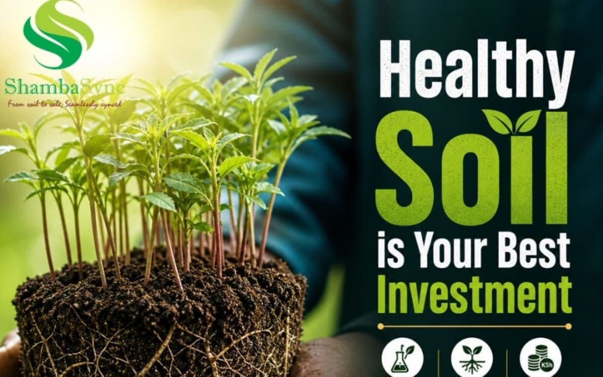 Soil testing