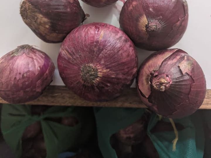Red bulb onion